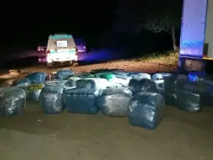 Bales of dagga