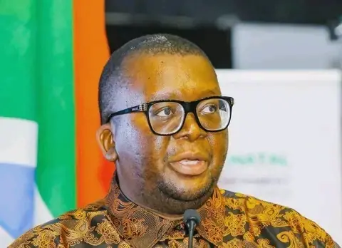 MEC Thulasizwe Buthelezi