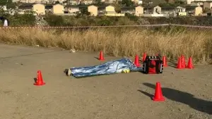 Hammonds farm lifeless body
