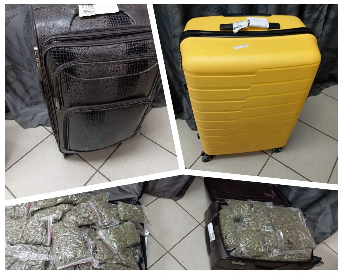 South African Police Service in Colesberg intercepted dagga shipment heading to Johannesburg from Cape Town