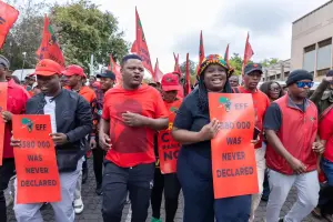 Economic Freedom Fighters supporters outside the Constitutional Court of South Africa