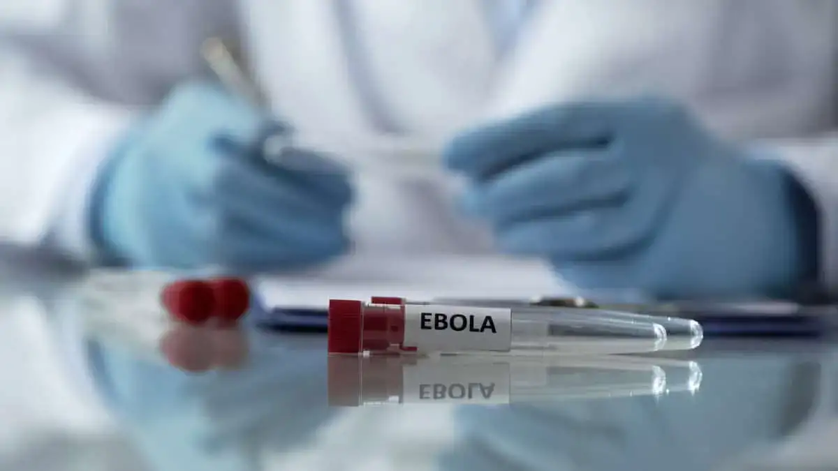 WHO declares Bundibugyo ebola outbreak in DR Congo and Uganda a public health emergency of international concern