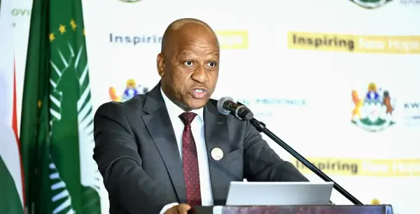 KZN Premier advocates for a balanced migration framework and rejects claims of xenophobia and afrophobia