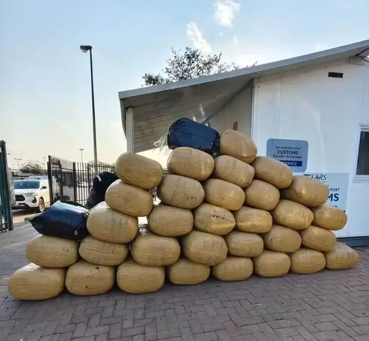 Two Tanzanian nationals arrested after R1.5 million dagga haul at Baobab Tollgate in Limpopo